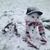 Terri Ann Engelmann's profile image