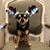 Stormy Lee Rollins's profile image