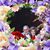 Barbara Garrett's profile image