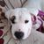 Donna Eaton Williams's profile image