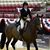 Elizabeth Devor's profile image