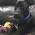 Linda Gibson-Breeding's profile image
