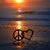 Debbie Wilkins's profile image