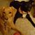 Karen Nordmeyer Morris's profile image