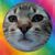 Deborah Dillard's profile image