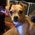 Melanie Hofmann Greene's profile image