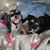 Debbie Parsons's profile image