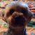 Kim Cowan-Stalker's profile image