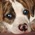Amanda Place's profile image