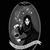Lourdes Howard's profile image