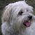 Don Liles's profile image
