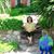 Carmina Oaks's profile image