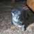 Shelly Shultz's profile image