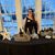 Mary Hites-Souders's profile image