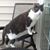 Lisa Garrett's profile image