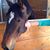 Donna Lacina's profile image