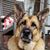 Suzie Merucci's profile image