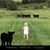 Lindsey Marshall's profile image