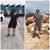 Tacia Hill's profile image