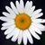 Tricia E.'s profile image