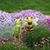 Kathy Restovic's profile image