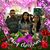 Maria Barraza's profile image