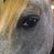 Susan Becks's profile image