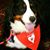Nancy McDaniel's profile image