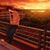 Montassar Mb'arki's profile image