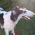 Patricia Clark's profile image