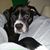 Jesseca Cordry's profile image