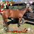 Susan Brown Watson's profile image