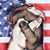 Phyllis Scott Venable's profile image