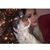Angelique Deacon's profile image