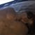 Sylvia Tsang's profile image