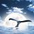 Stephanie Heston's profile image