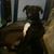 Jeannie Elsea's profile image