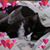 Barrie Brooks's profile image