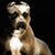 Morris McCray's profile image