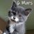 Kathy Woolley O'Roark's profile image