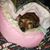 Robert Midgett's profile image