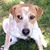 Carmen Smith Nichols's profile image