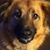 Carolyn Hall Deputy's profile image