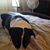 Vicki Parra Woodall's profile image