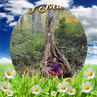 Jan Stevenson's profile image