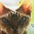 Donna Crider Jackson's profile image