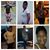 Tynika James's profile image