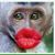 Susana Cardenas's profile image