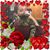 Tricia Stein's profile image