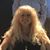 Tina Patrice Peters Mills's profile image